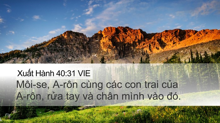 Xuất Hành 40:31 VIE Bible Verse Image