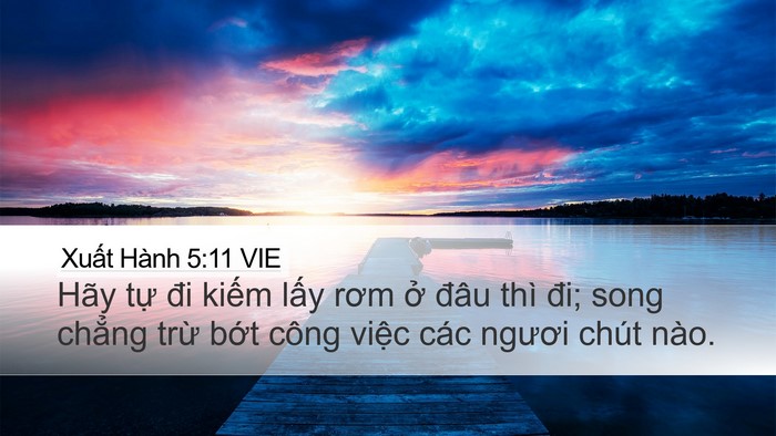 Xuất Hành 5:11 VIE Desktop Wallpaper - Hãy tự đi kiếm lấy rơm ở đâu thì - Desktop Bible Verse Wallpaper