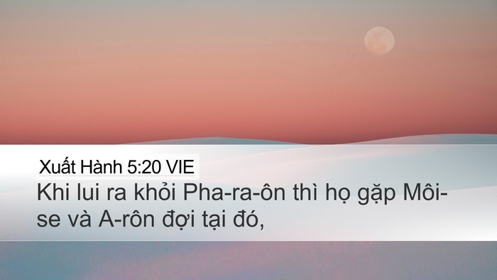 Xuất Hành 5:20 VIE Desktop Wallpaper - Khi lui ra khỏi Pha-ra-ôn thì họ gặp - Desktop Bible Verse Wallpaper