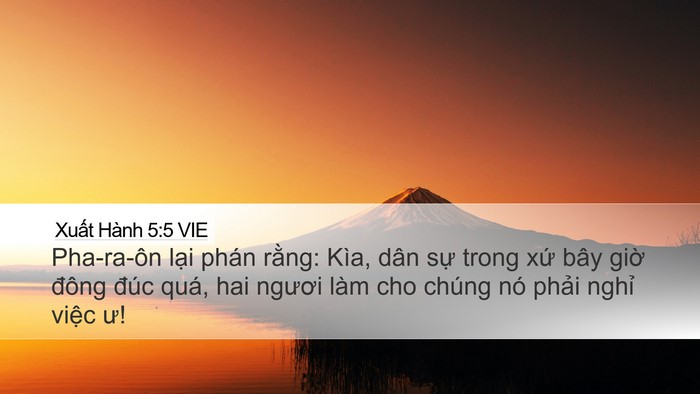 Xuất Hành 5:5 VIE Bible Verse Image
