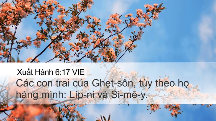 Xuất Hành 6:17 VIE Bible Verse Image