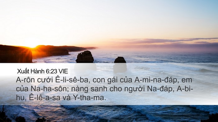 Xuất Hành 6:23 VIE Bible Verse Image