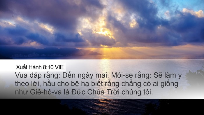 Xuất Hành 8:10 VIE Bible Verse Image