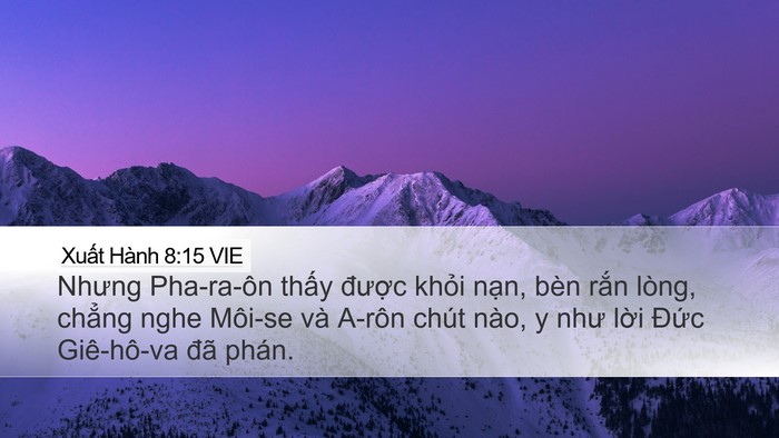 Xuất Hành 8:15 VIE Bible Verse Image