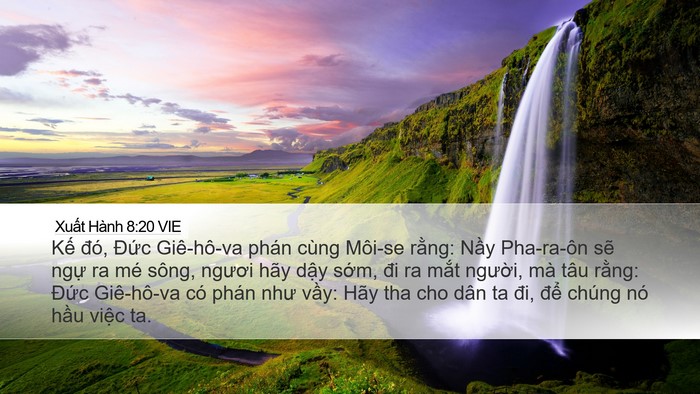 Xuất Hành 8:20 VIE Bible Verse Image