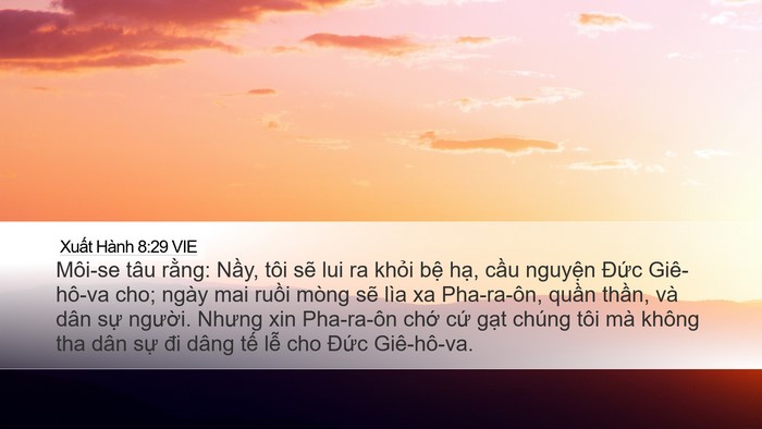 Xuất Hành 8:29 VIE Bible Verse Image