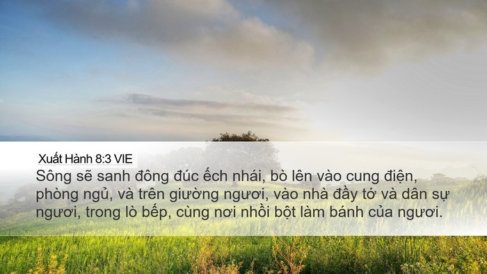 Xuất Hành 8:3 VIE Bible Verse Image