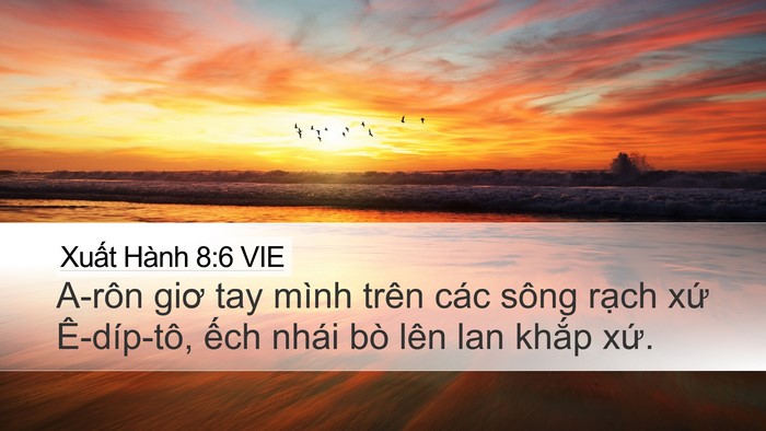 Xuất Hành 8:6 VIE Desktop Wallpaper - A-rôn giơ tay mình trên các sông rạch - Desktop Bible Verse Wallpaper