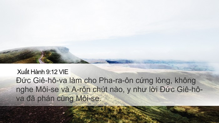 Xuất Hành 9:12 VIE Bible Verse Image