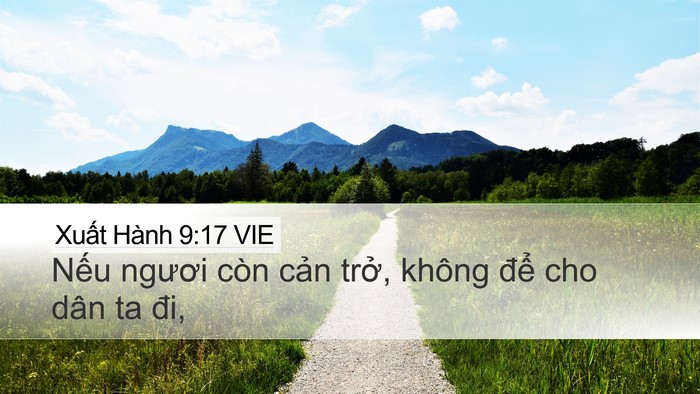 Xuất Hành 9:17 VIE Bible Verse Image