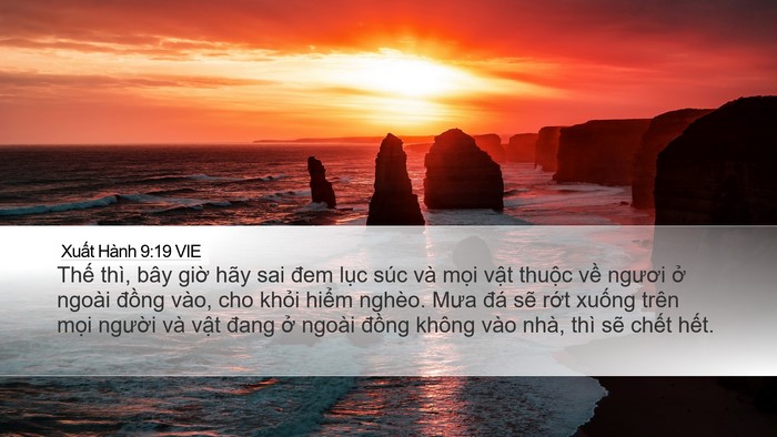 Xuất Hành 9:19 VIE Bible Verse Image