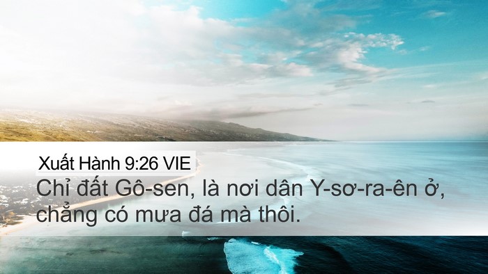 Xuất Hành 9:26 VIE Desktop Wallpaper - Chỉ đất Gô-sen, là nơi dân Y-sơ-ra-ên - Desktop Bible Verse Wallpaper