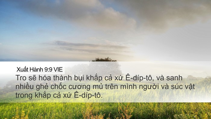 Xuất Hành 9:9 VIE Bible Verse Image