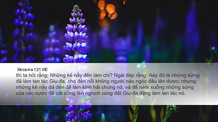 Xê-ca-ri-a 1:21 VIE Bible Verse Image