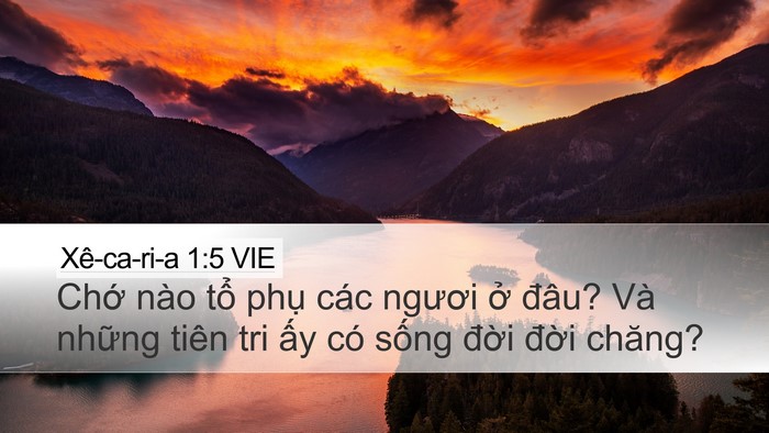 Xê-ca-ri-a 1:5 VIE Bible Verse Image