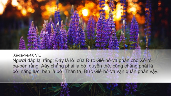 Xê-ca-ri-a 4:6 VIE Bible Verse Image