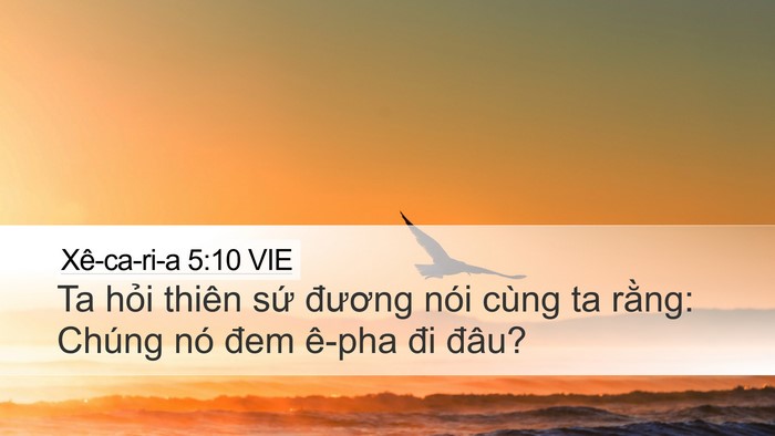 Xê-ca-ri-a 5:10 VIE Bible Verse Image