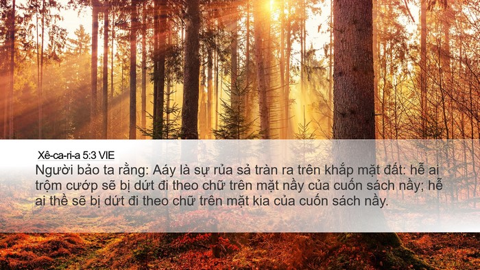 Xê-ca-ri-a 5:3 VIE Bible Verse Image