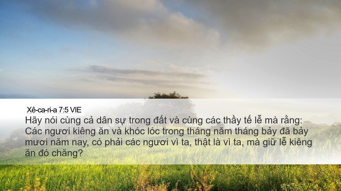 Xê-ca-ri-a 7:5 VIE Bible Verse Image