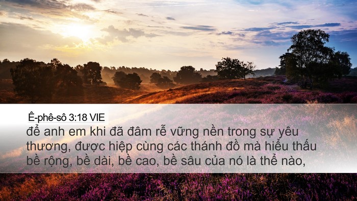 Ê-phê-sô 3:18 VIE Bible Verse Image