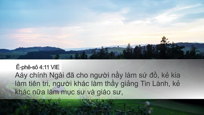 Ê-phê-sô 4:11 VIE Bible Verse Image