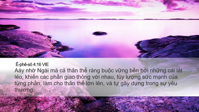 Ê-phê-sô 4:16 VIE Bible Verse Image