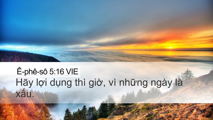 Ê-phê-sô 5:16 VIE Bible Verse Image