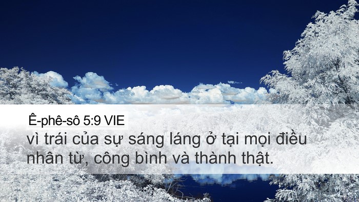 Ê-phê-sô 5:9 VIE Bible Verse Image