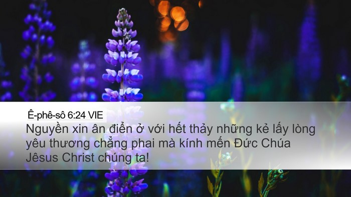Ê-phê-sô 6:24 VIE Bible Verse Image