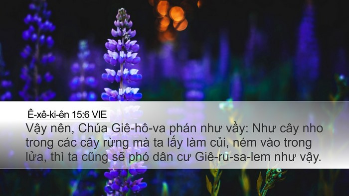 Ê-xê-ki-ên 15:6 VIE Bible Verse Image