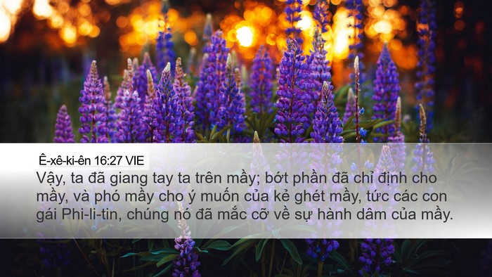 Ê-xê-ki-ên 16:27 VIE Bible Verse Image