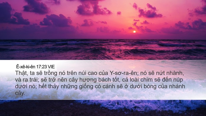 Ê-xê-ki-ên 17:23 VIE Bible Verse Image