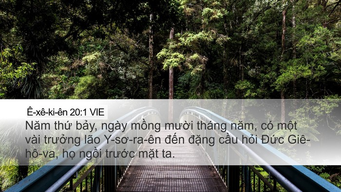 Ê-xê-ki-ên 20:1 VIE Bible Verse Image