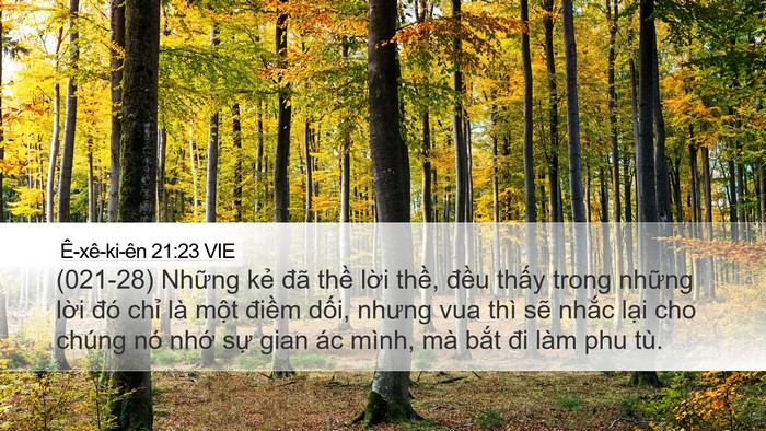 Ê-xê-ki-ên 21:23 VIE Bible Verse Image