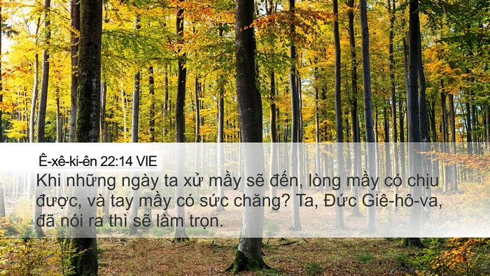 Ê-xê-ki-ên 22:14 VIE Bible Verse Image