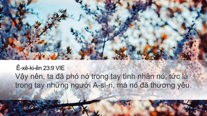 Ê-xê-ki-ên 23:9 VIE Bible Verse Image