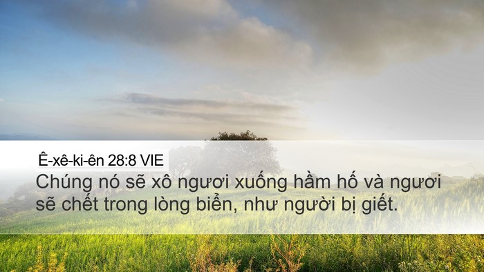 Ê-xê-ki-ên 28:8 VIE Bible Verse Image