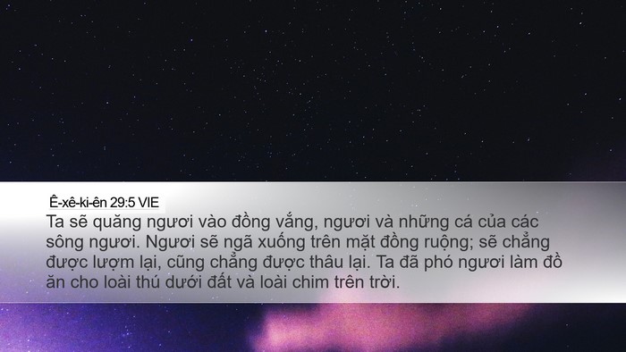 Ê-xê-ki-ên 29:5 VIE Bible Verse Image