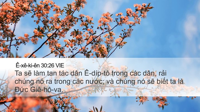 Ê-xê-ki-ên 30:26 VIE Bible Verse Image