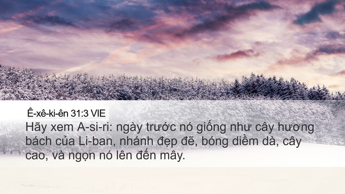 Ê-xê-ki-ên 31:3 VIE Bible Verse Image