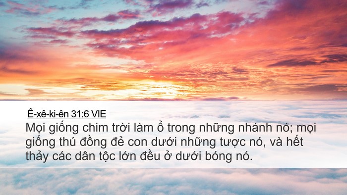 Ê-xê-ki-ên 31:6 VIE Bible Verse Image