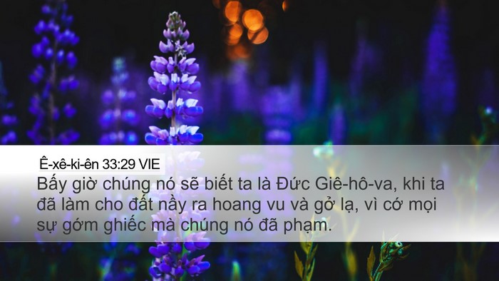 Ê-xê-ki-ên 33:29 VIE Bible Verse Image