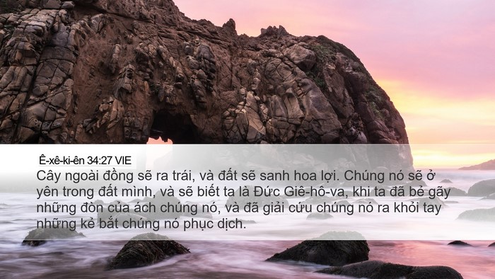 Ê-xê-ki-ên 34:27 VIE Bible Verse Image
