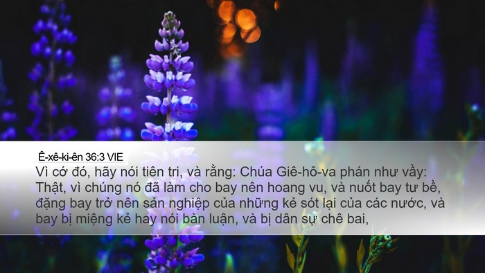 Ê-xê-ki-ên 36:3 VIE Bible Verse Image
