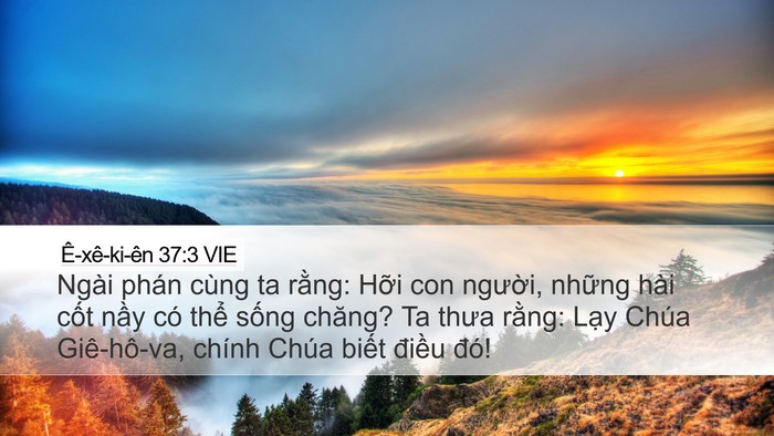 Ê-xê-ki-ên 37:3 VIE Bible Verse Image