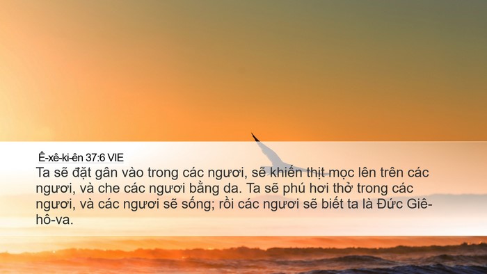 Ê-xê-ki-ên 37:6 VIE Bible Verse Image