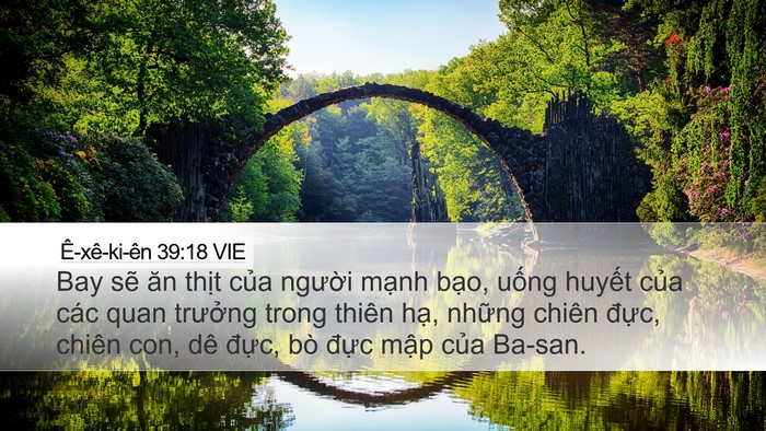 Ê-xê-ki-ên 39:18 VIE Desktop Wallpaper - Bay sẽ ăn thịt của người mạnh bạo, - Desktop Bible Verse Wallpaper