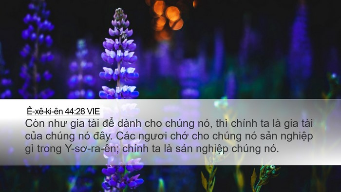 Ê-xê-ki-ên 44:28 VIE Bible Verse Image