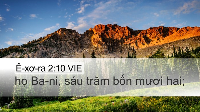 Ê-xơ-ra 2:10 VIE Bible Verse Image