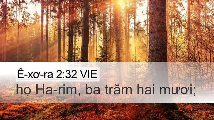 Ê-xơ-ra 2:32 VIE Desktop Wallpaper - họ Ha-rim, ba trăm hai - Desktop Bible Verse Wallpaper